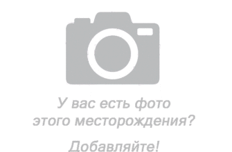 Мосторги москвы
