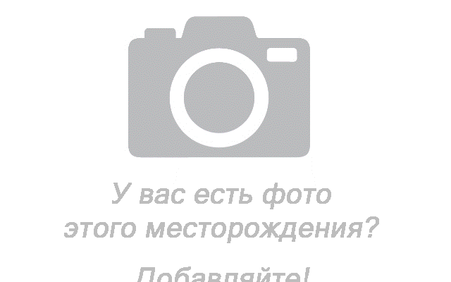 Псп лугинецкое