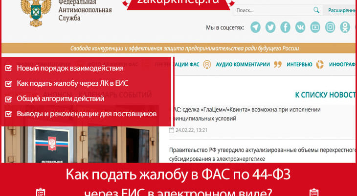 Реестр жалоб zakupki gov ru