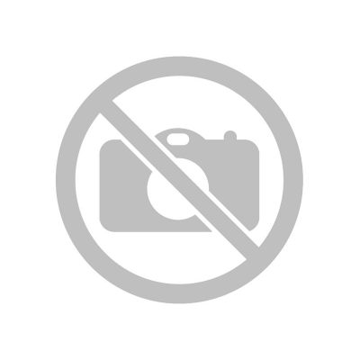 Подарочный слиток sagittarius