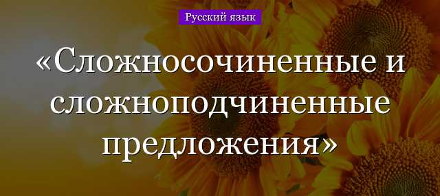 Как найти ssp и сложные и сложные предложения